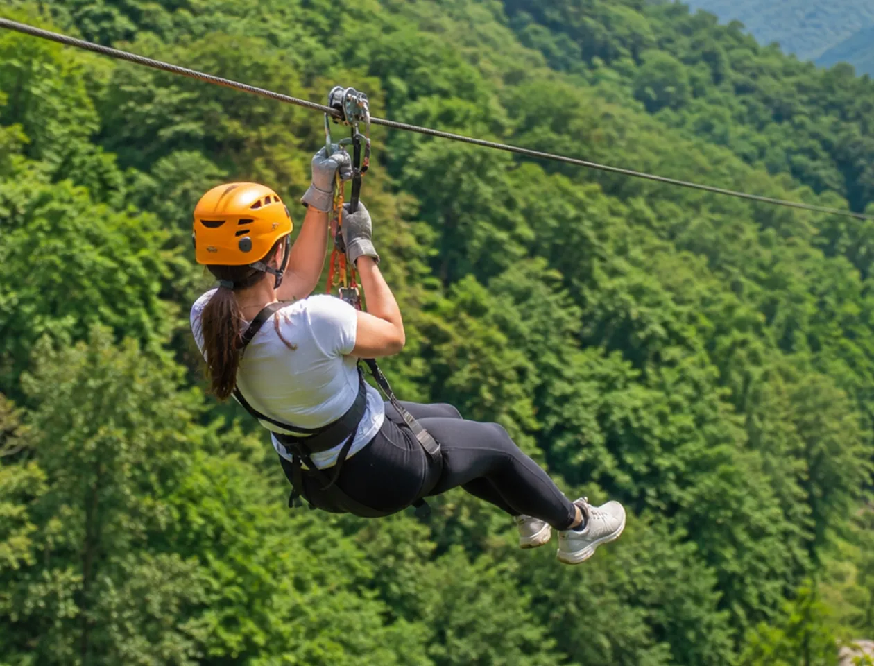 Zipline